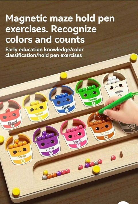 Magnetic Maze Ball Puzzle for Toddler Concentration & Logic Training. - 3sung llc