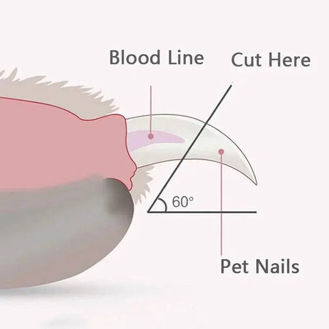 Professional Pet Nail Clippers with LED Light. - 3sung llc